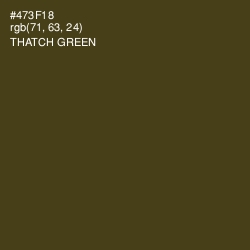#473F18 - Thatch Green Color Image